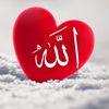 .sh.salma_islam