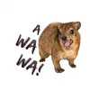 AWAWA