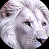 snowlion19