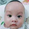 cubun2024