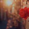 remi22335