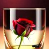 aboalawy123