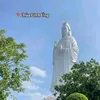 nguythao.chip
