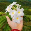 sadiyaafrin2422
