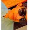 shahzaibshakeel910