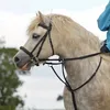 justahorseygirlxx