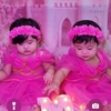 ivf.twincess