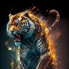 almutahawir00