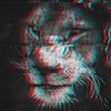 moshka.networld