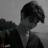 a_1opt