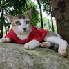 dhrubo.tara123