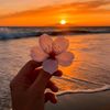 nocha_99