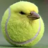 frenky_super