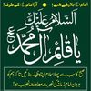 azharali6819