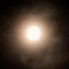 moon281234