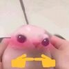 choflunsdequeso