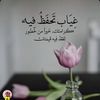 user2677846691313