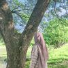 deenana119