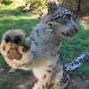 rammyalt