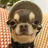 sm_dokie