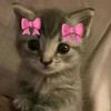 danna_9930