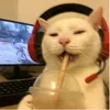 loginicialisverygud