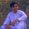 asif8134