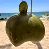 melch_pot_lll
