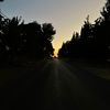 saraalsaqer07