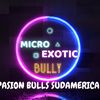 pasionbullssudamerica