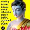 tharu91869