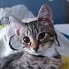 shayna_76