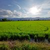 thaiquah