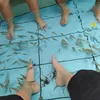 th.minh.nguyn5