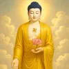 thienduy6868