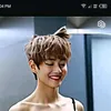 myvbear1