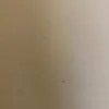 sarah_linnellx