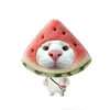rhanh55555