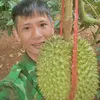 anhnongdan47h1