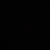 shamkey_