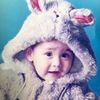 🐰