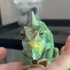 reptileaceastronmy