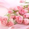 l_ali1122