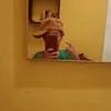 nicolau.nii