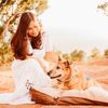 shiba_malamute_kitty