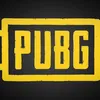 nameisminepubg