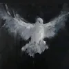 krytexed__