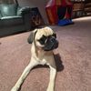 robbie_thegoalie