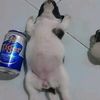 hyperloveu