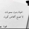 user9977162327430